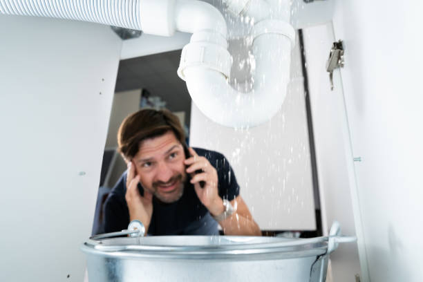 Best Sewer Line Repair  in Edburgh, IN