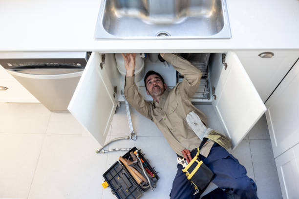 Best Clogged Drain Plumber  in Edburgh, IN
