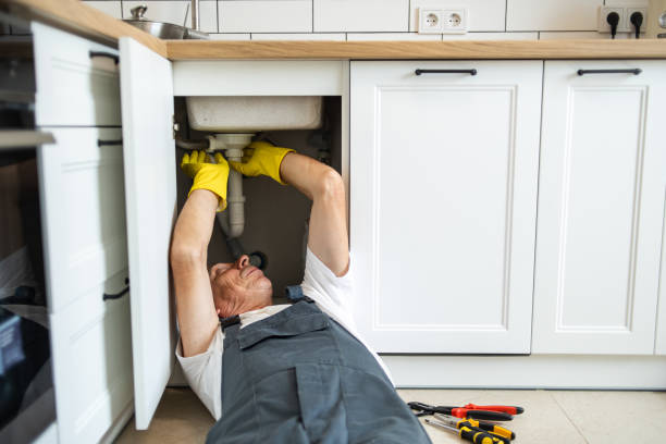 Best Drain Cleaning Services  in Edburgh, IN