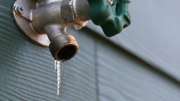 Best Same-Day Plumbing Service  in Edburgh, IN